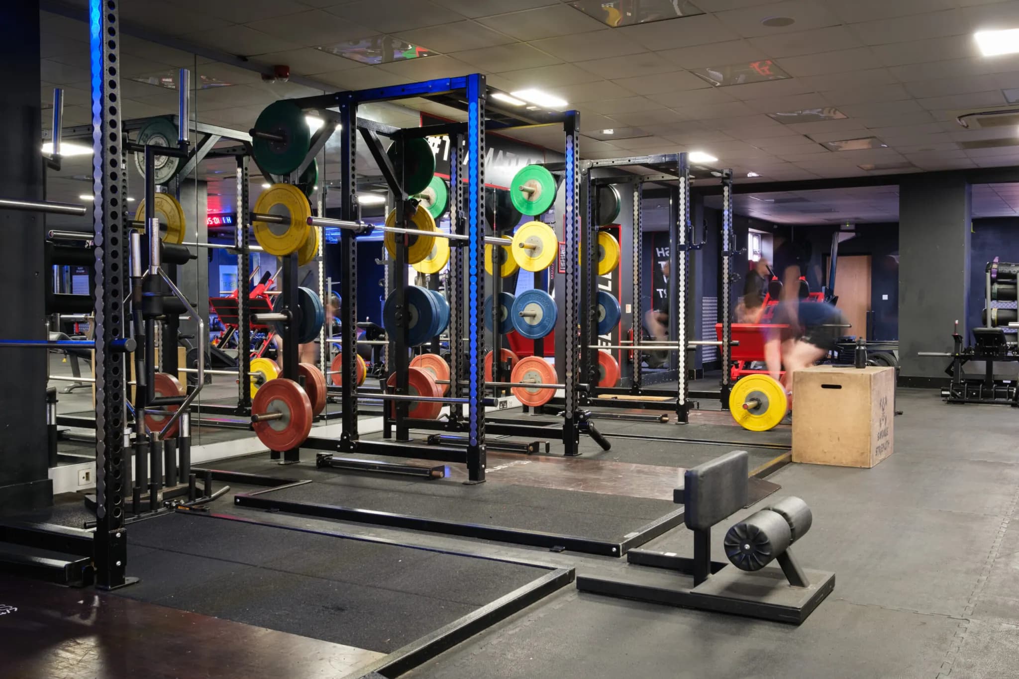 Gym workout area
